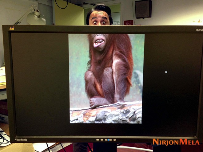 desk-safari1.jpg