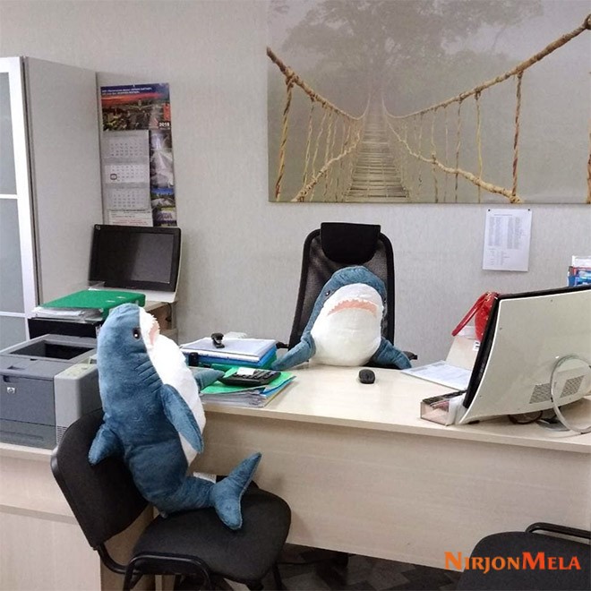 Business-sharks.jpg