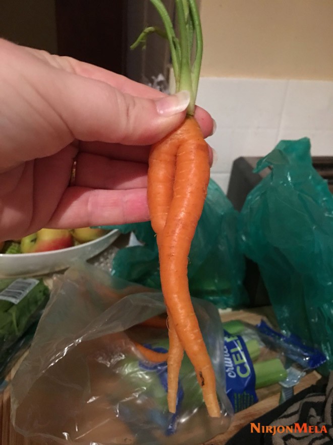 001_Funny-seductive-carrot-legs.jpg