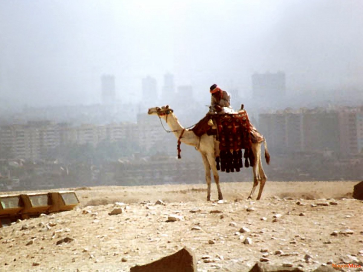 Cairo-39.jpg