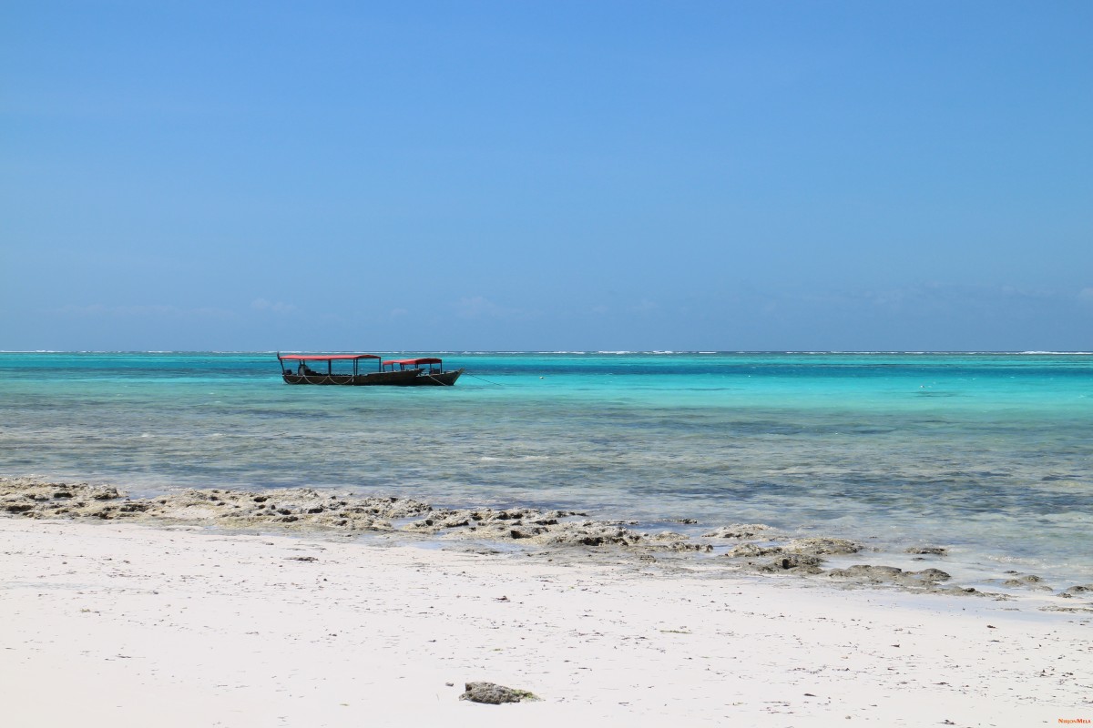 Zanzibar-Tanzania-14.jpg