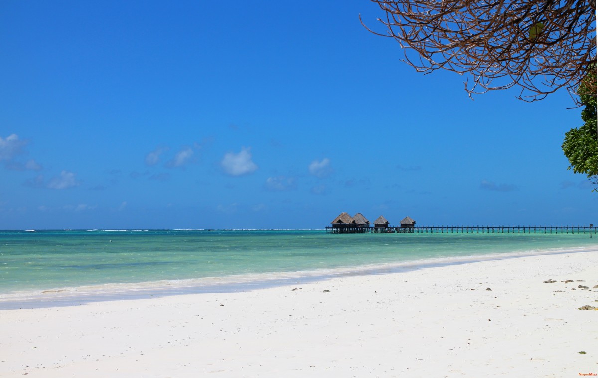 Zanzibar-Tanzania-17.jpg