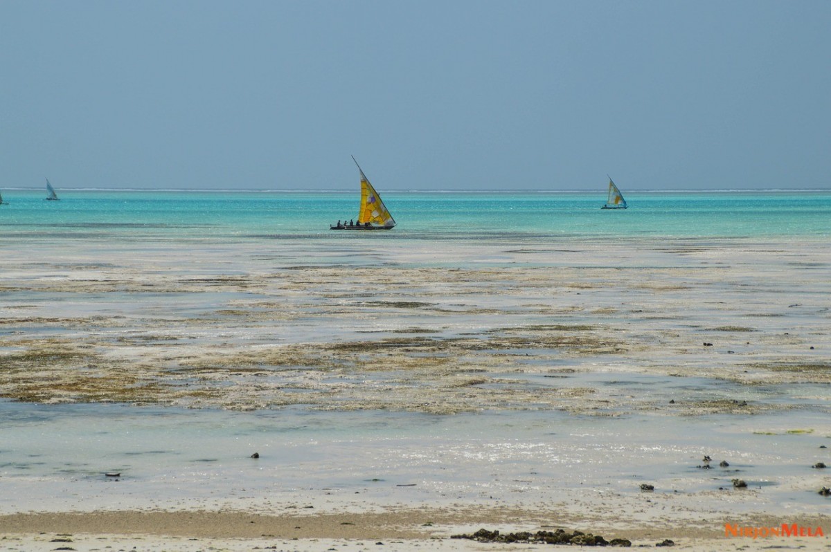 Zanzibar-Tanzania-24.jpg