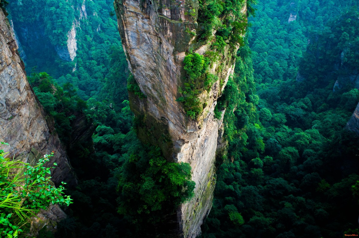 Zhangjiajie-National-Forest-China-13.jpg