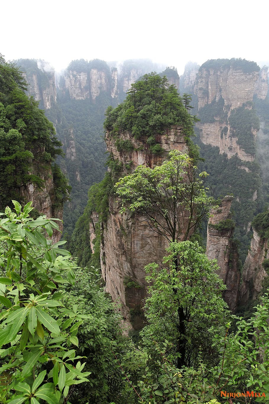 Zhangjiajie-National-Forest-China-16.jpg