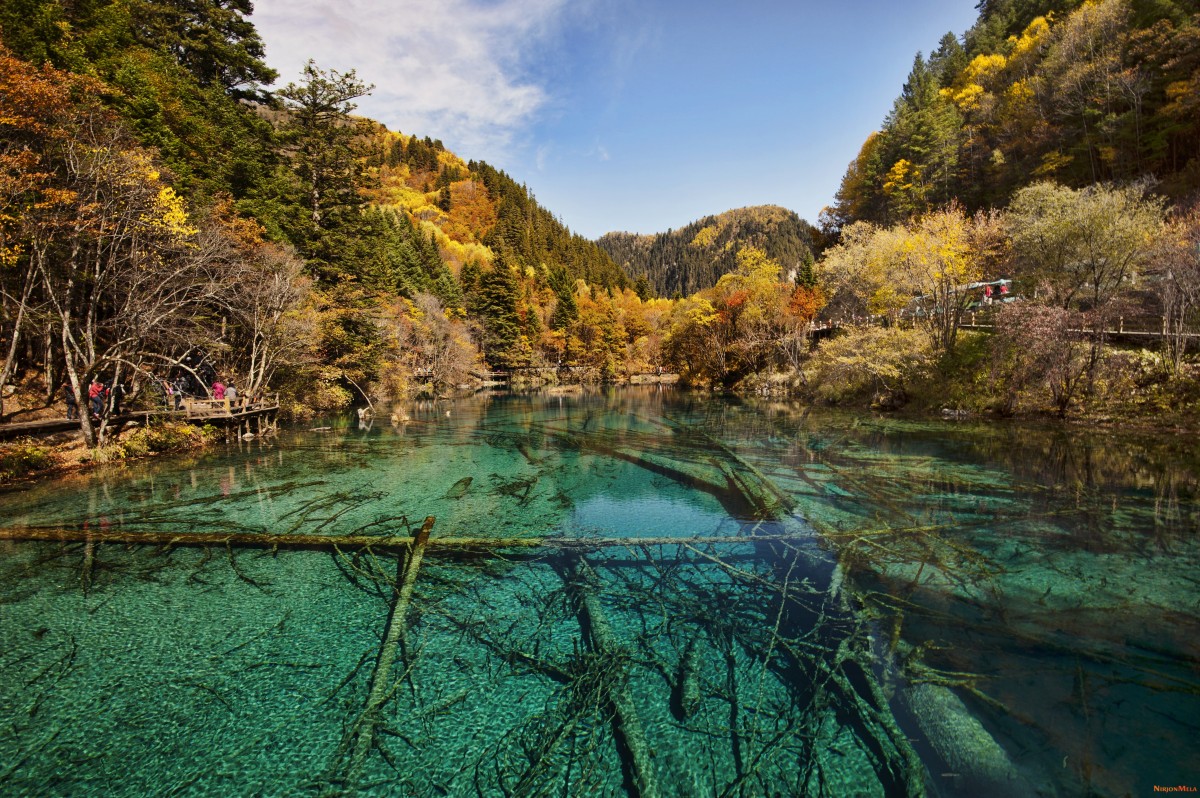 Zhangjiajie-National-Forest-China-17.jpg