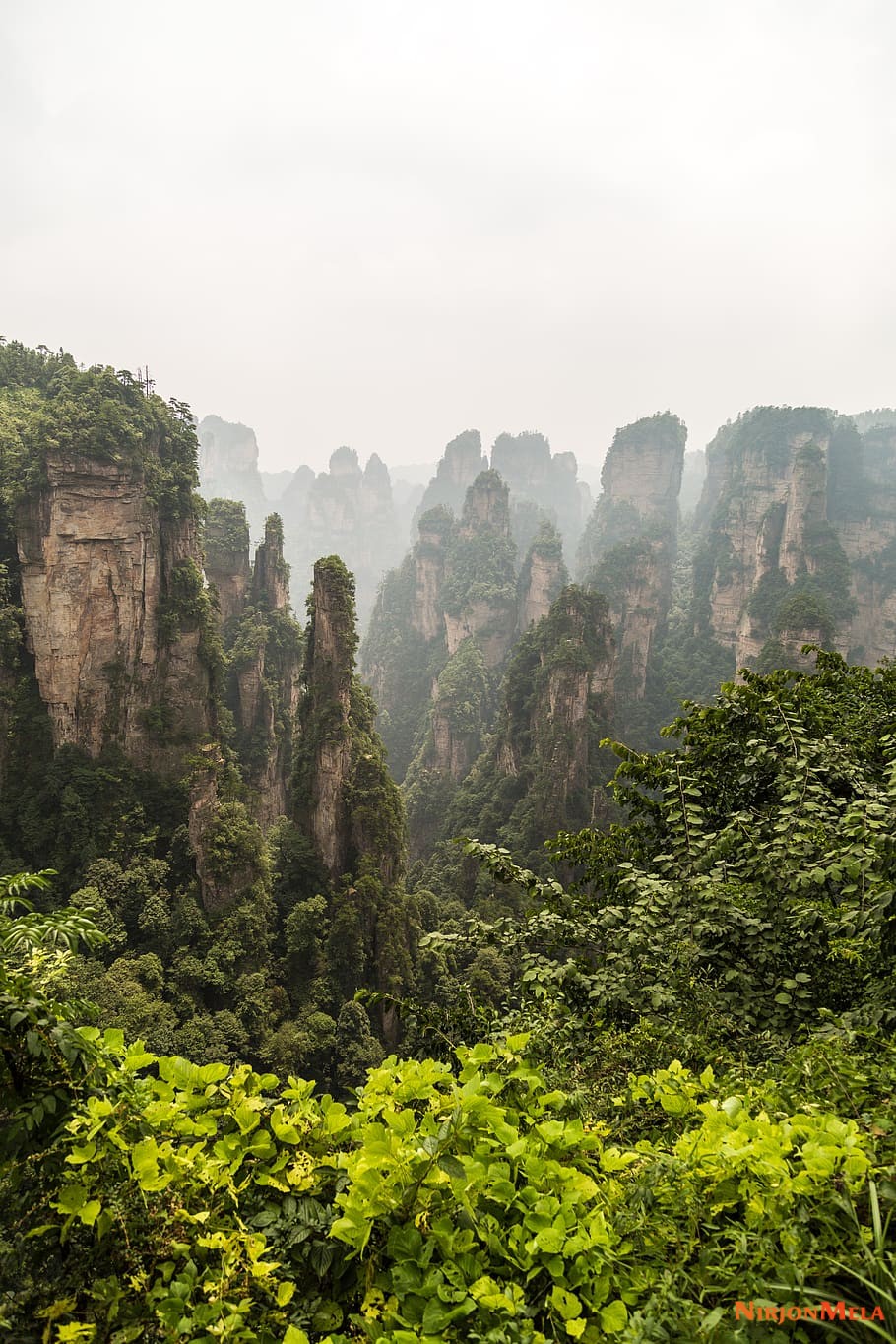 Zhangjiajie-National-Forest-China-20.jpg