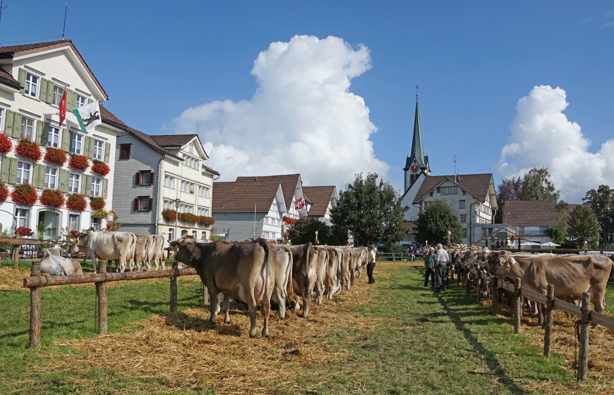 appenzell-16.jpg