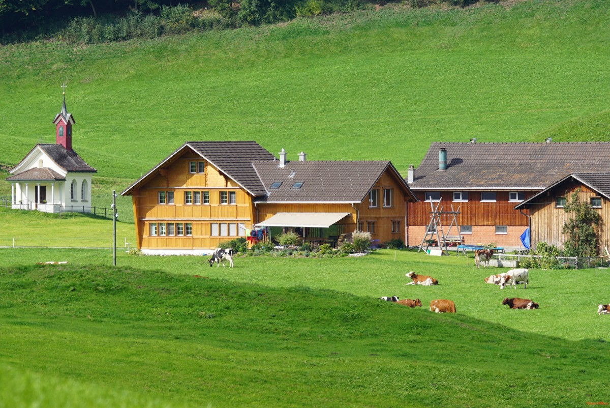 appenzell-2.jpg