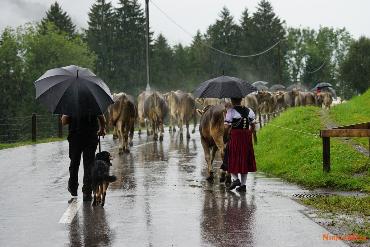 appenzell-24.jpg