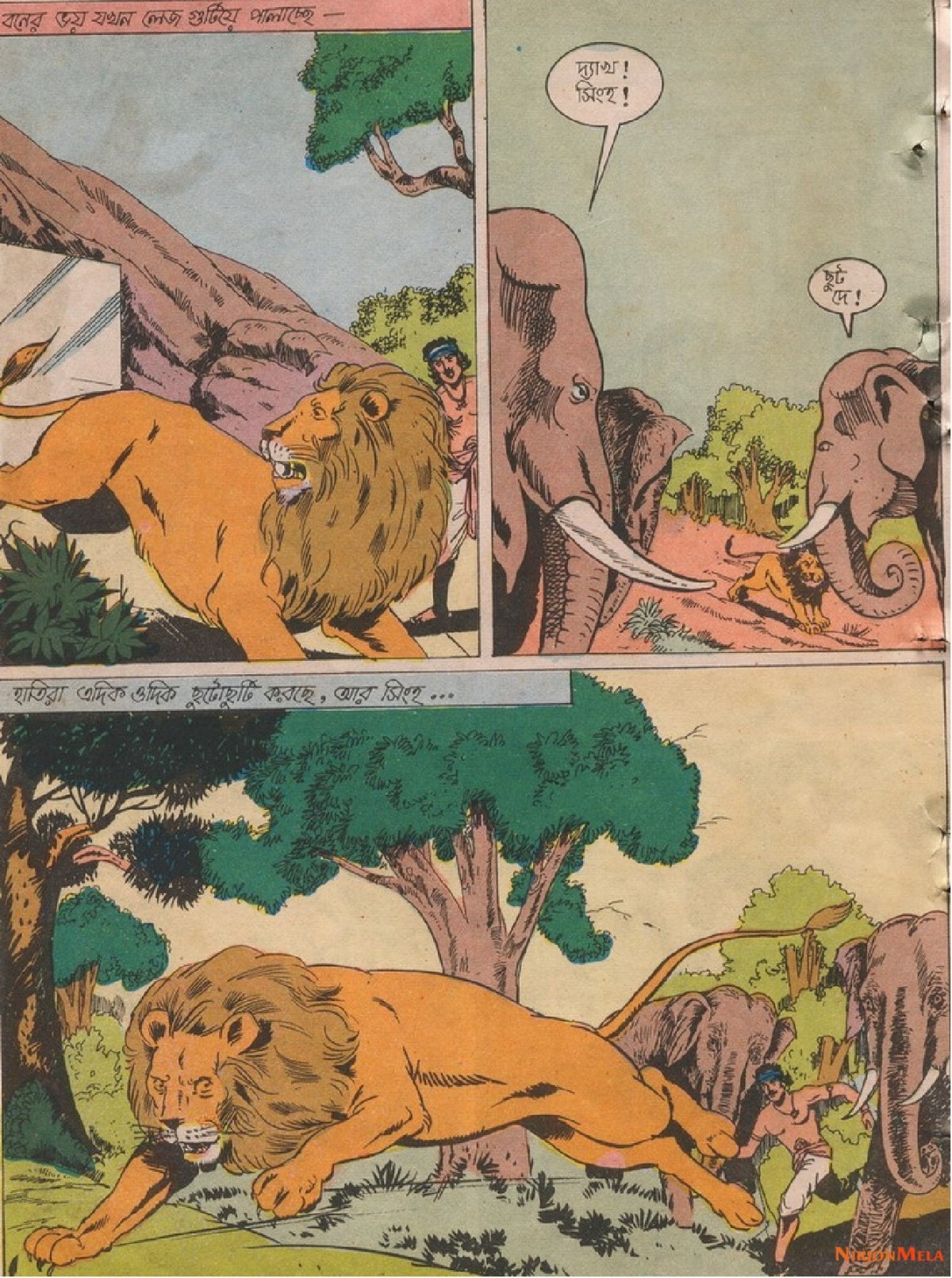 Amar-Chitra-Katha---Totapakhir-Rohosyo_17.jpg